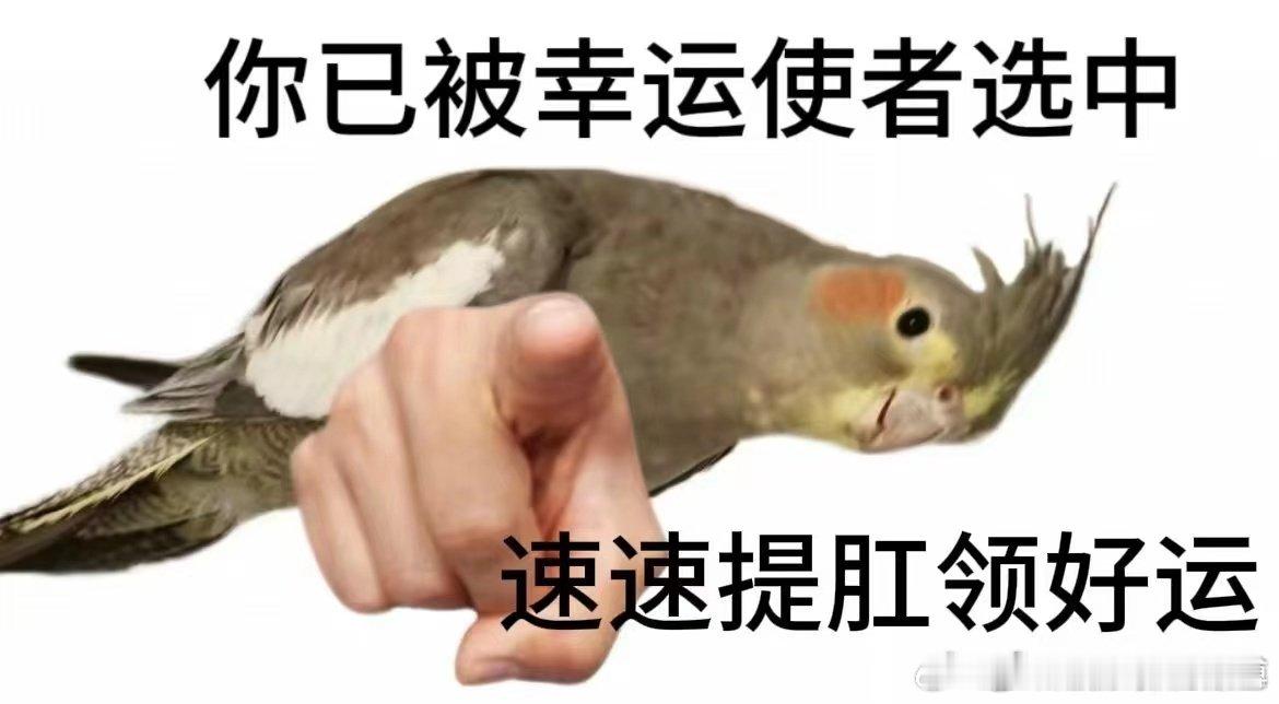 #提肛随时随地可以大小练#提肛随时随地可以大小练真的很不错，而且对于我们的身体也