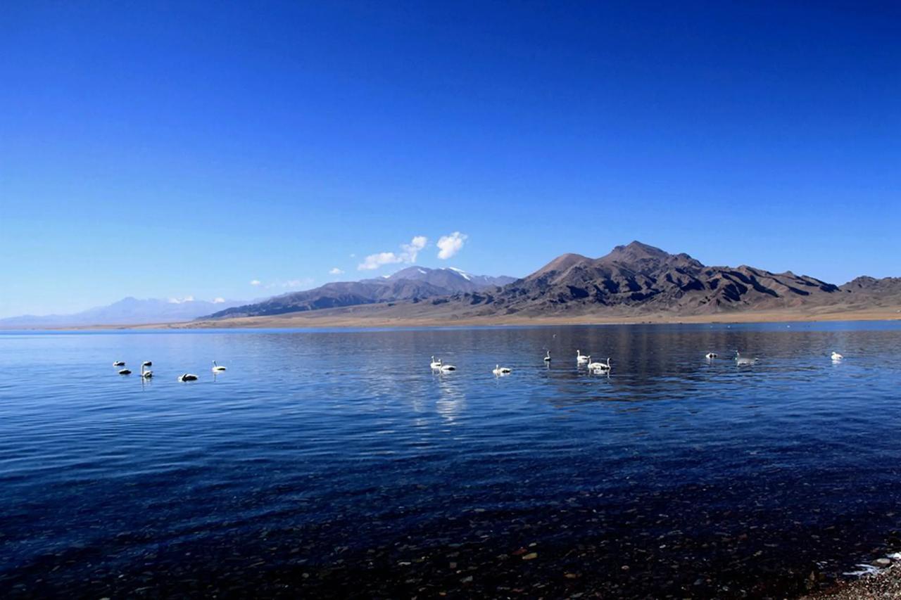 假期多多益善。如今生活压力着实大，多些休假时间能让人好好放松一下。[玫瑰][玫瑰