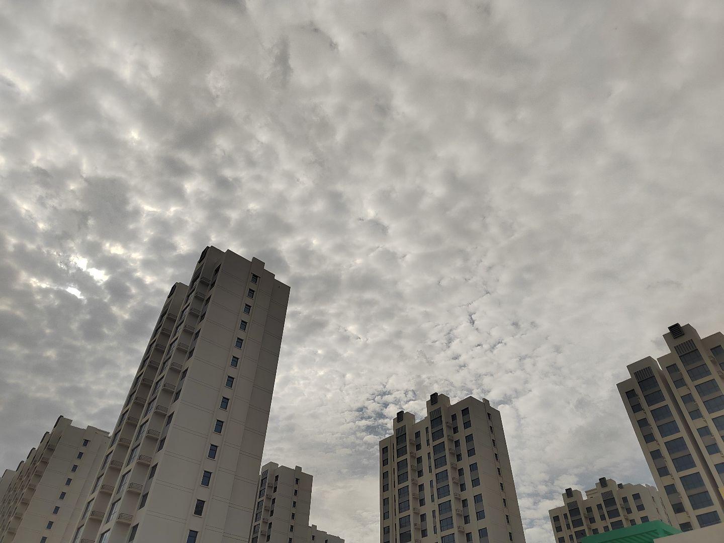 看看你城市的棉花糖！