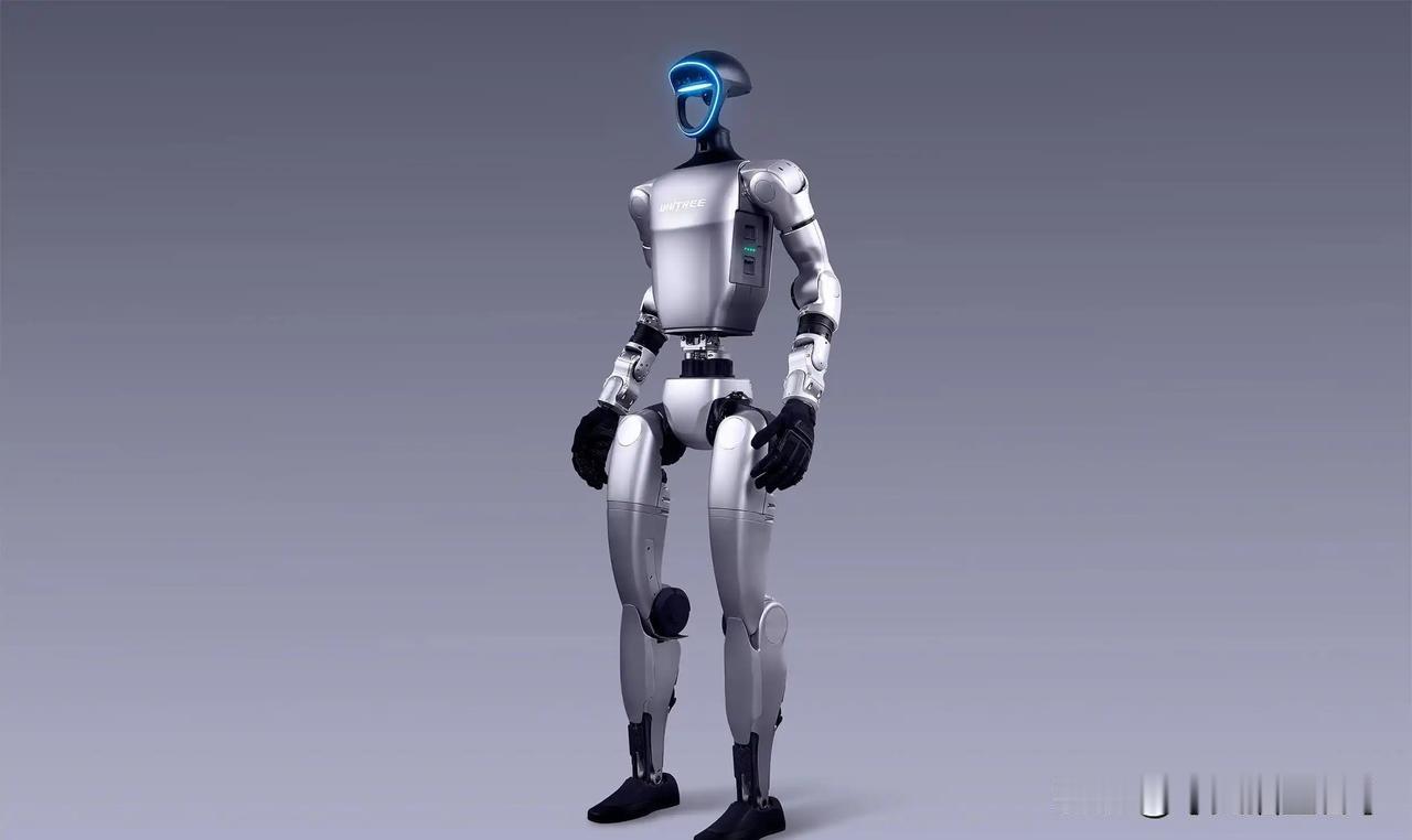 2026年被视为人形机器人产业从样品走向产品的关键一年，核心主题是“量产落地与商