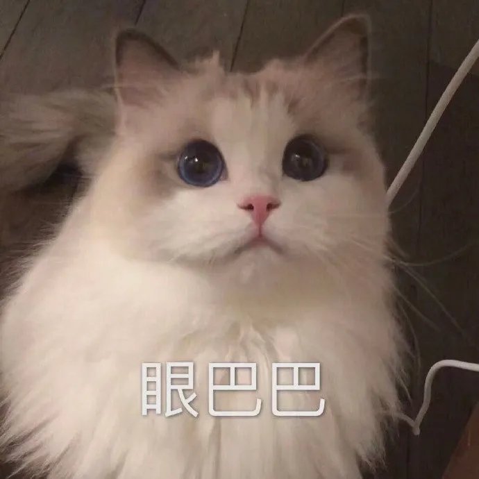 超爱的自用聊天表情包 ​​​