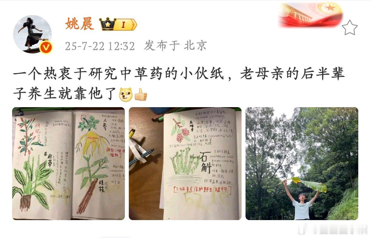 姚晨儿子热衷研究中草药被姚晨儿子的中草药研究日常戳中！手绘的植物带着童真，却也认