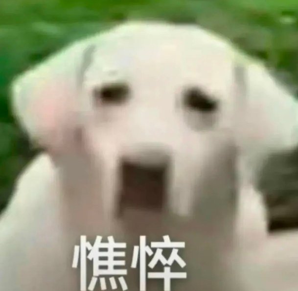 刚刚一个北京小米之家的销售打电话过来，说之前我在他们家买过 K80，最近 K10