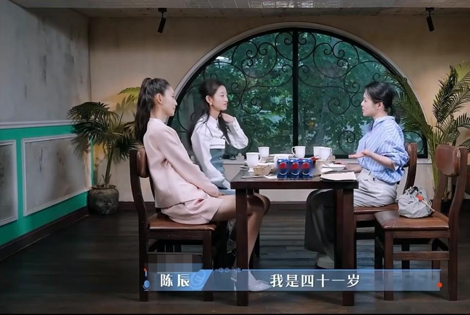 陈辰:“我是四十一岁有了我的第一个孩子，就真的是最标准的高龄产妇了，然后四十四岁