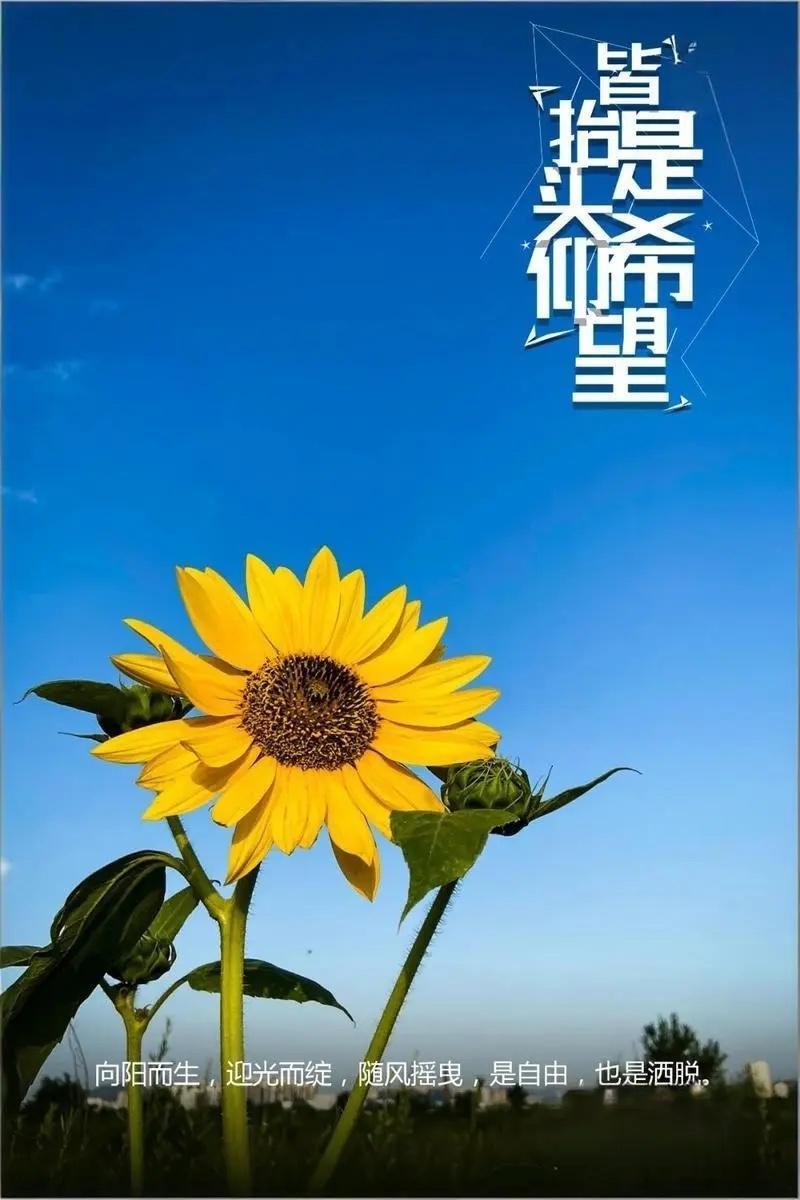 A股：意外的放量大涨，3大原因要知道！沪指重回4000点上方，沪强深弱，高低切换