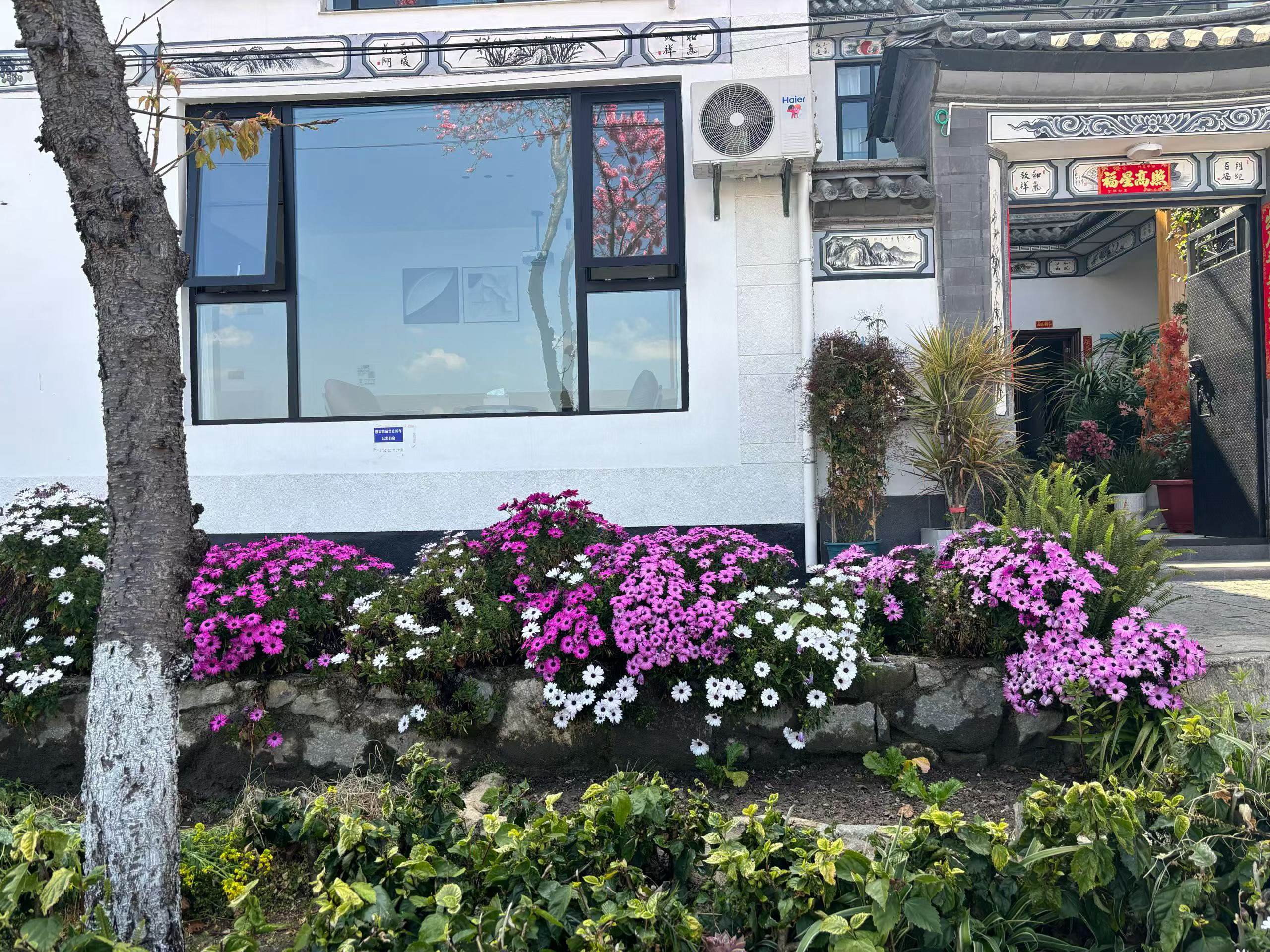 读书使我成为照亮自己的人我的私人宝藏书单书评 湖以温热的舌头舔着傍晚——赫尔曼·