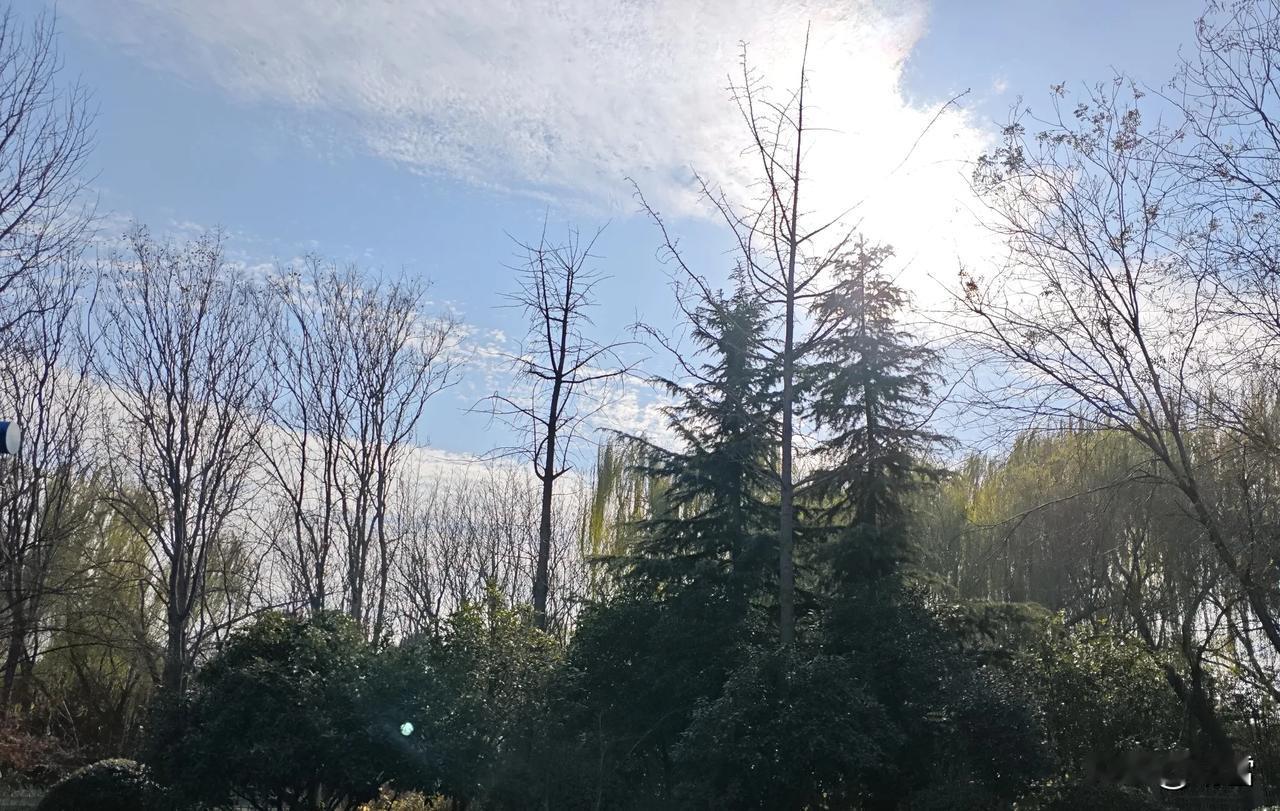 烈日挥光，

浮云似雪。

天际无垠，   

秋色绚绝。