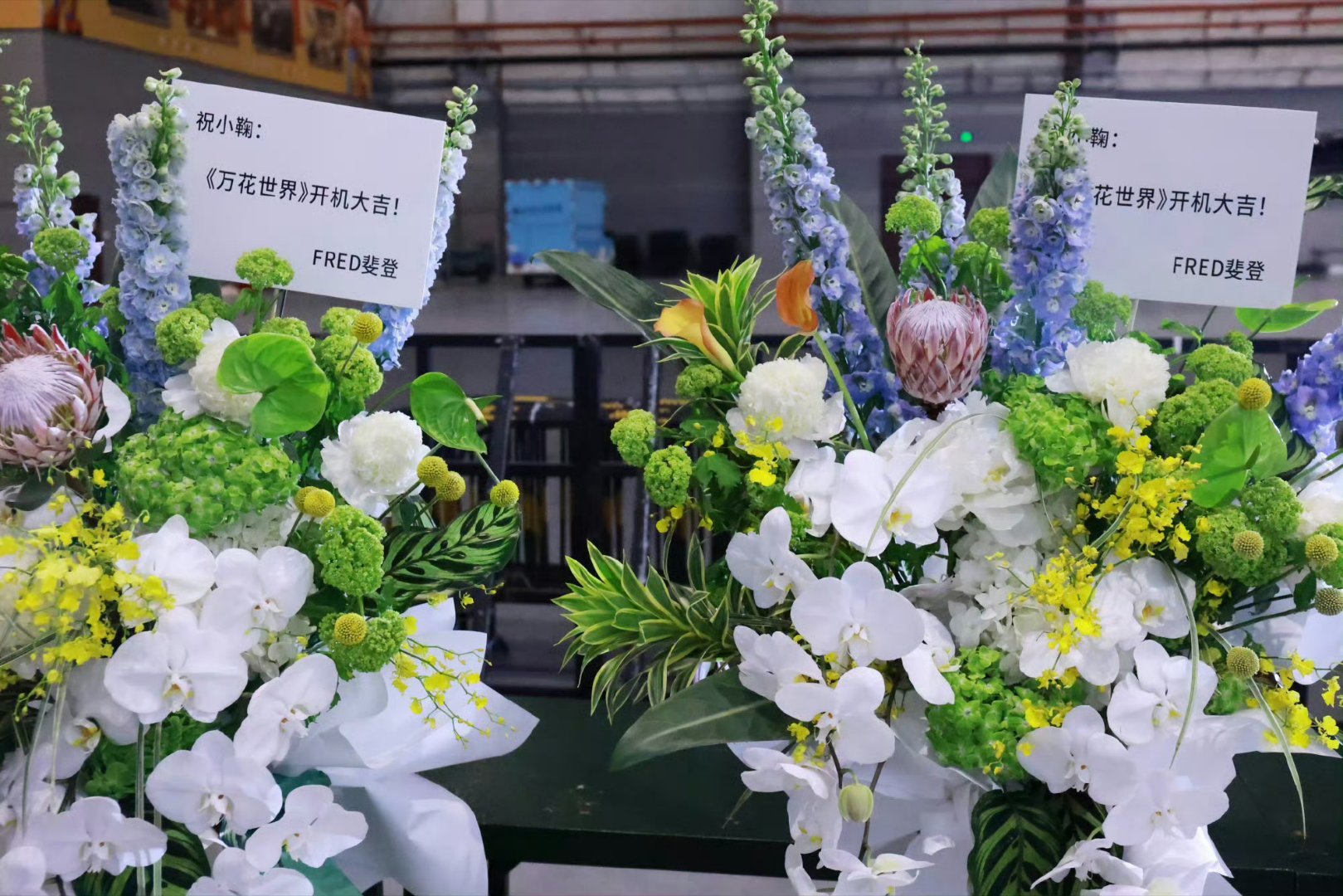 鞠婧祎万花世界开机品牌应援，超级多品牌方给鞠婧祎送花了还有没官宣的代言品牌方为鞠