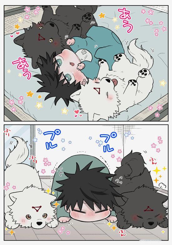 #咒术回战# 伏黑惠和小动物们的日常[抱一抱]萌萌哒！ (x:mnmmnnds)