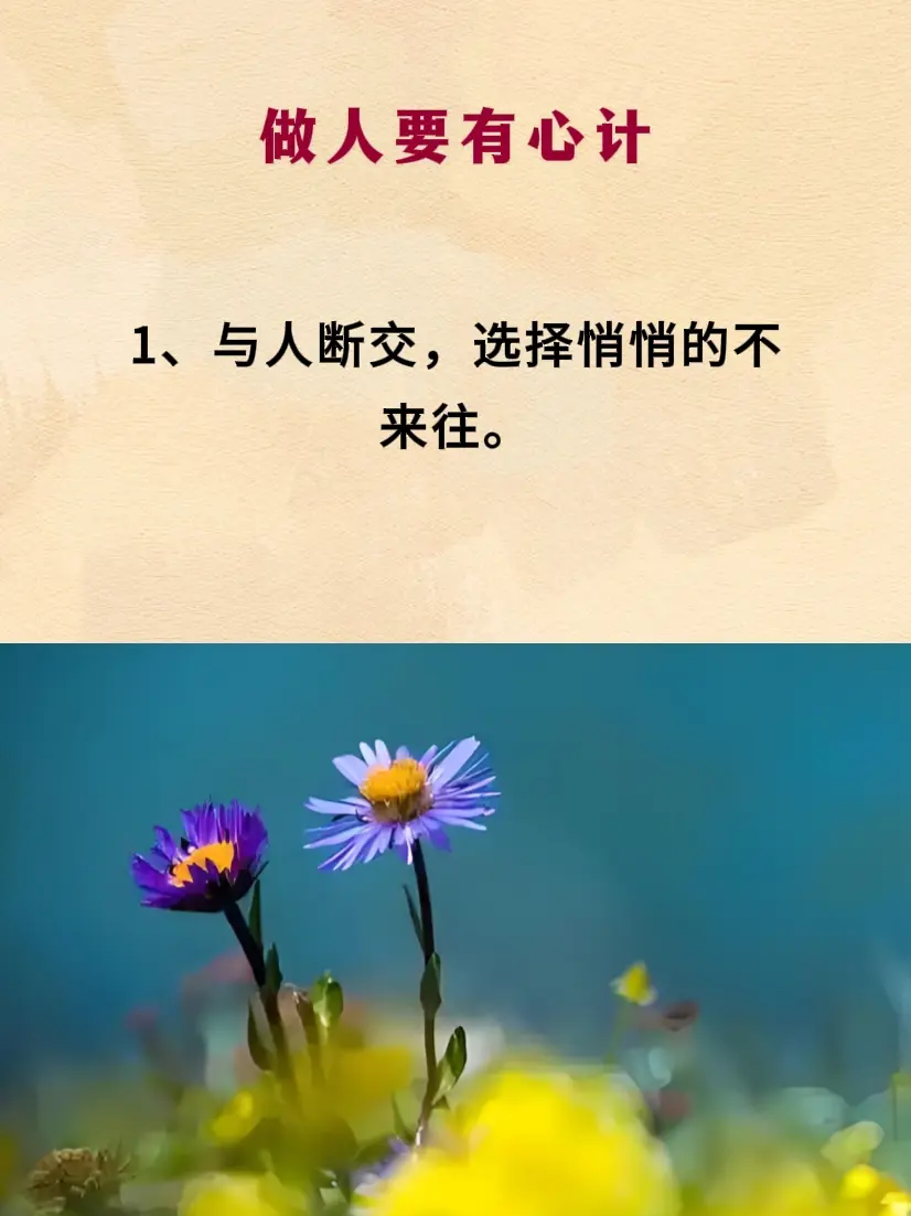智慧人生 处事智慧 人际关系 提升自己 为人处世
