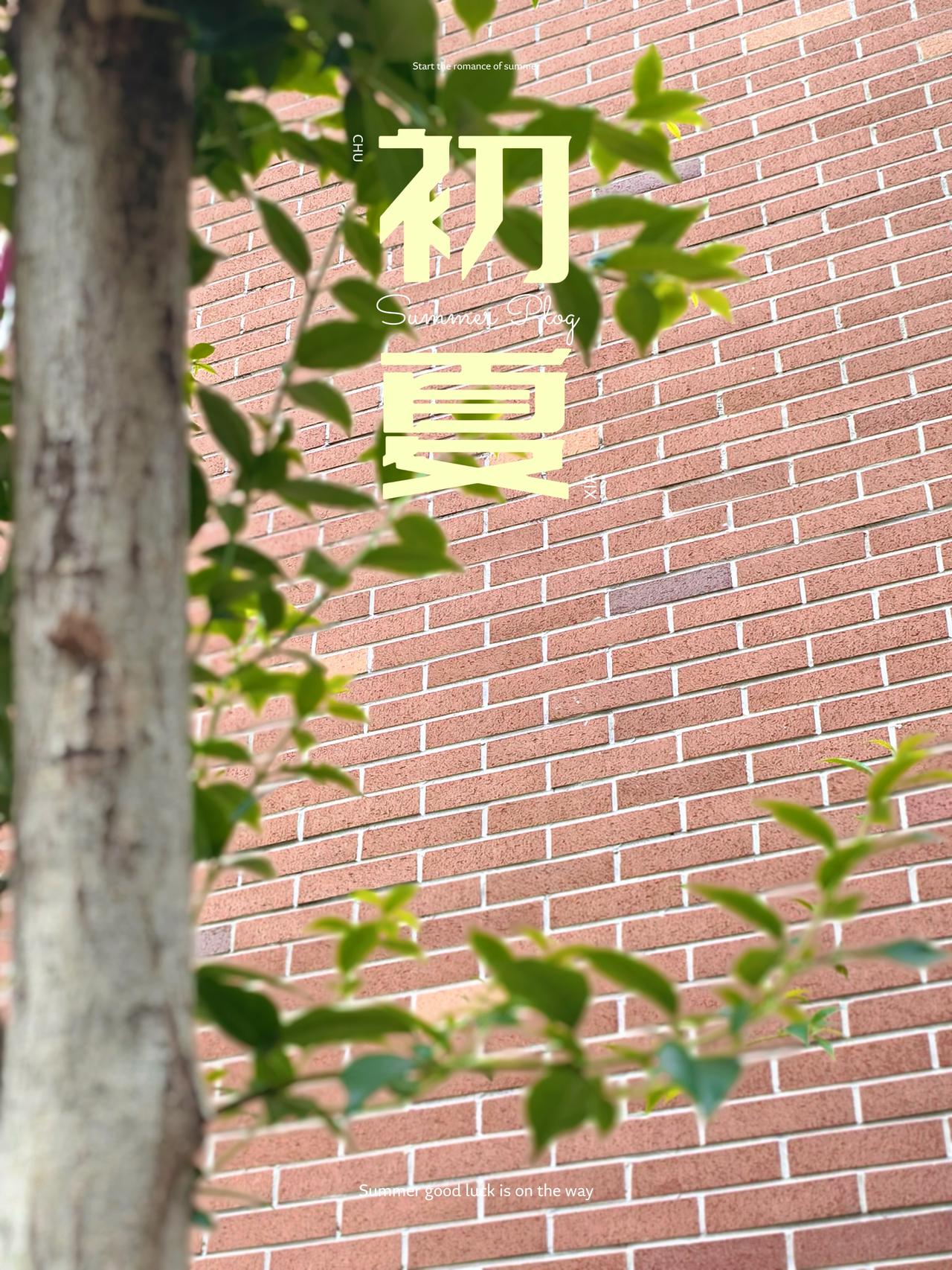 一拍即合，
就拍树～

深绿撑着荫，
浅绿冒着芽，
都是夏天
写给大地的信。
