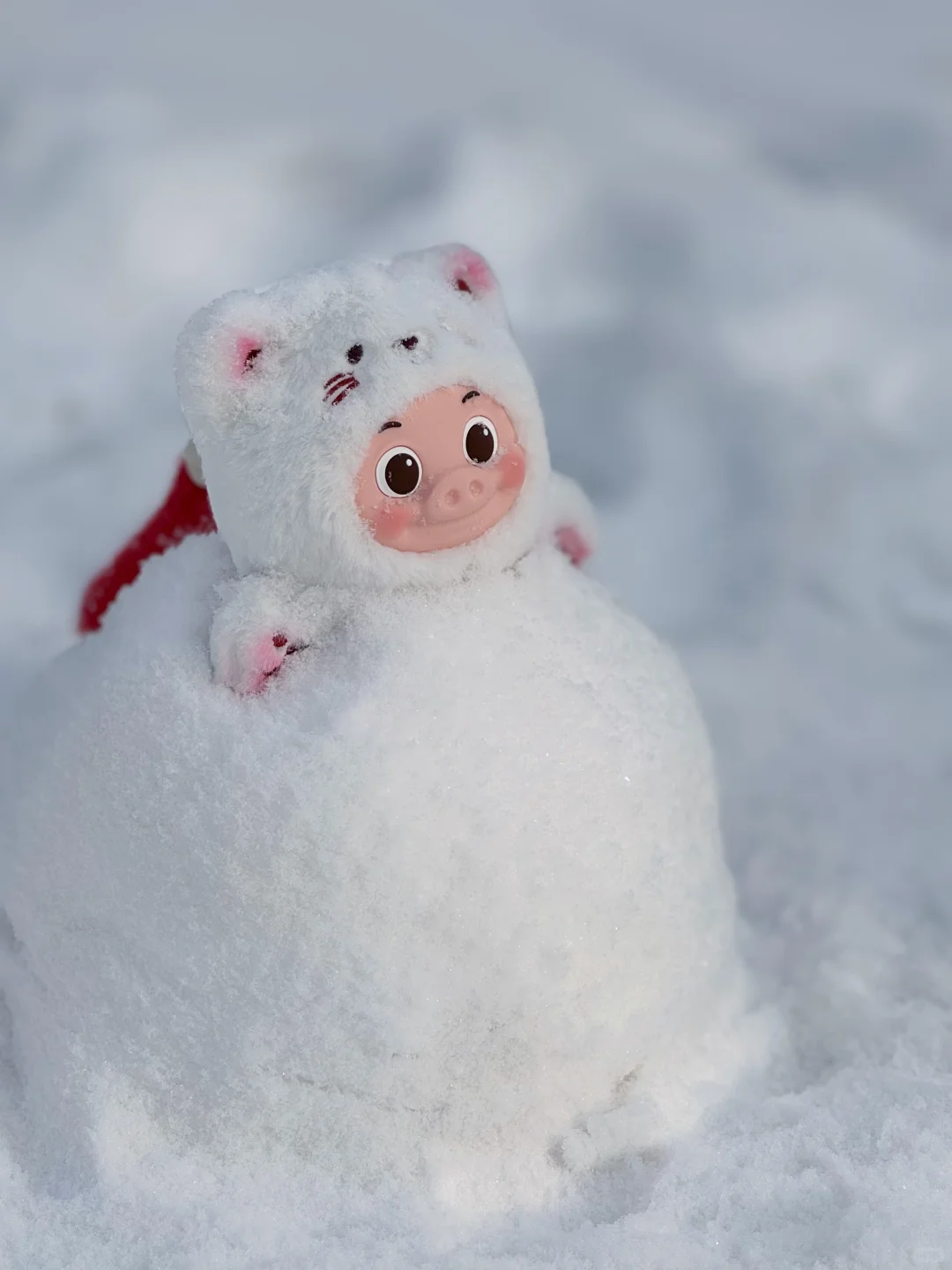 这么可爱的小雪猪