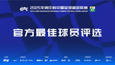 中超官方第29轮最佳评选：王燊超、法比奥入选