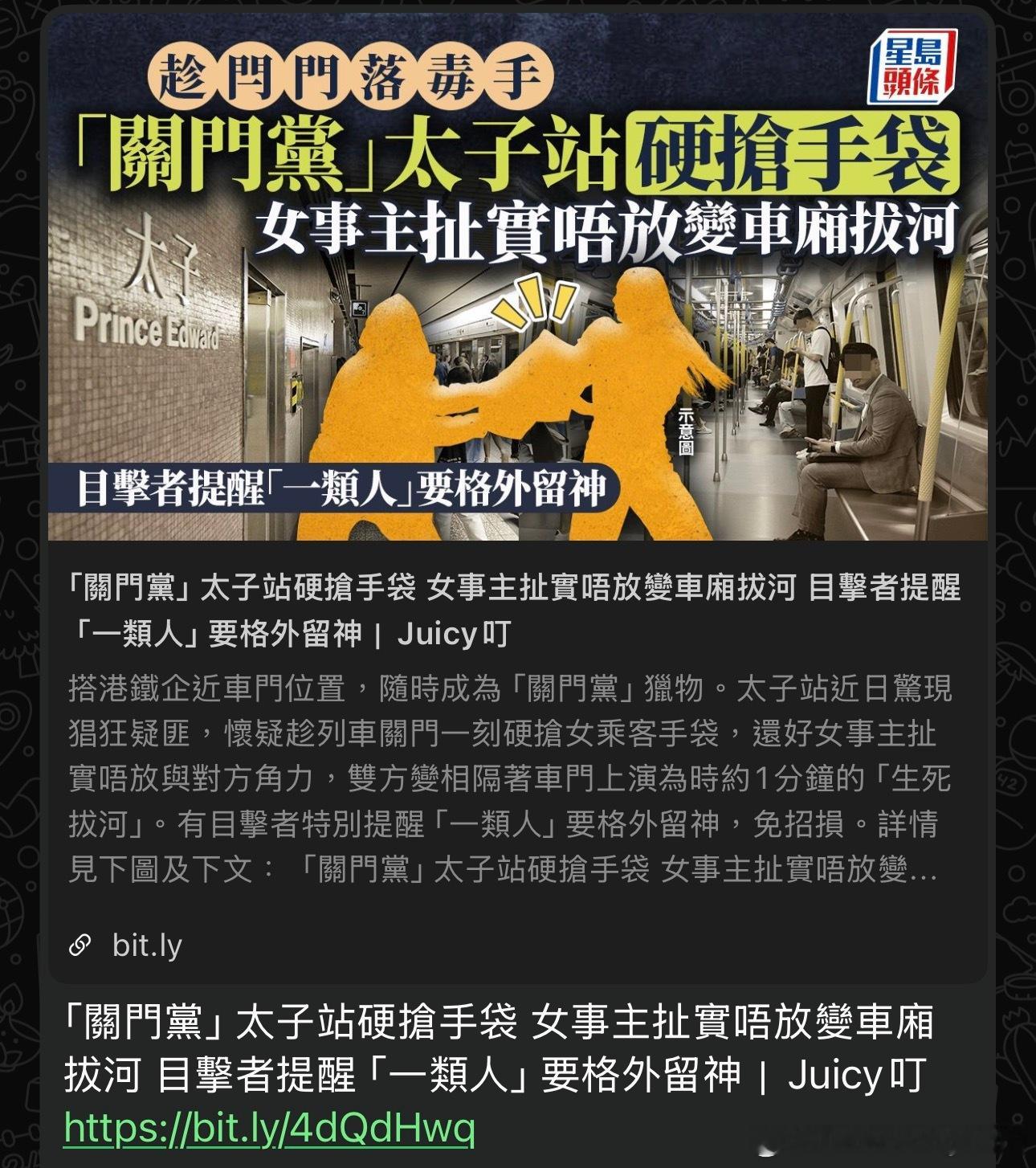 上次搶電話，今次搶袋，係地鐵搶野，好快拉到，儍仔 