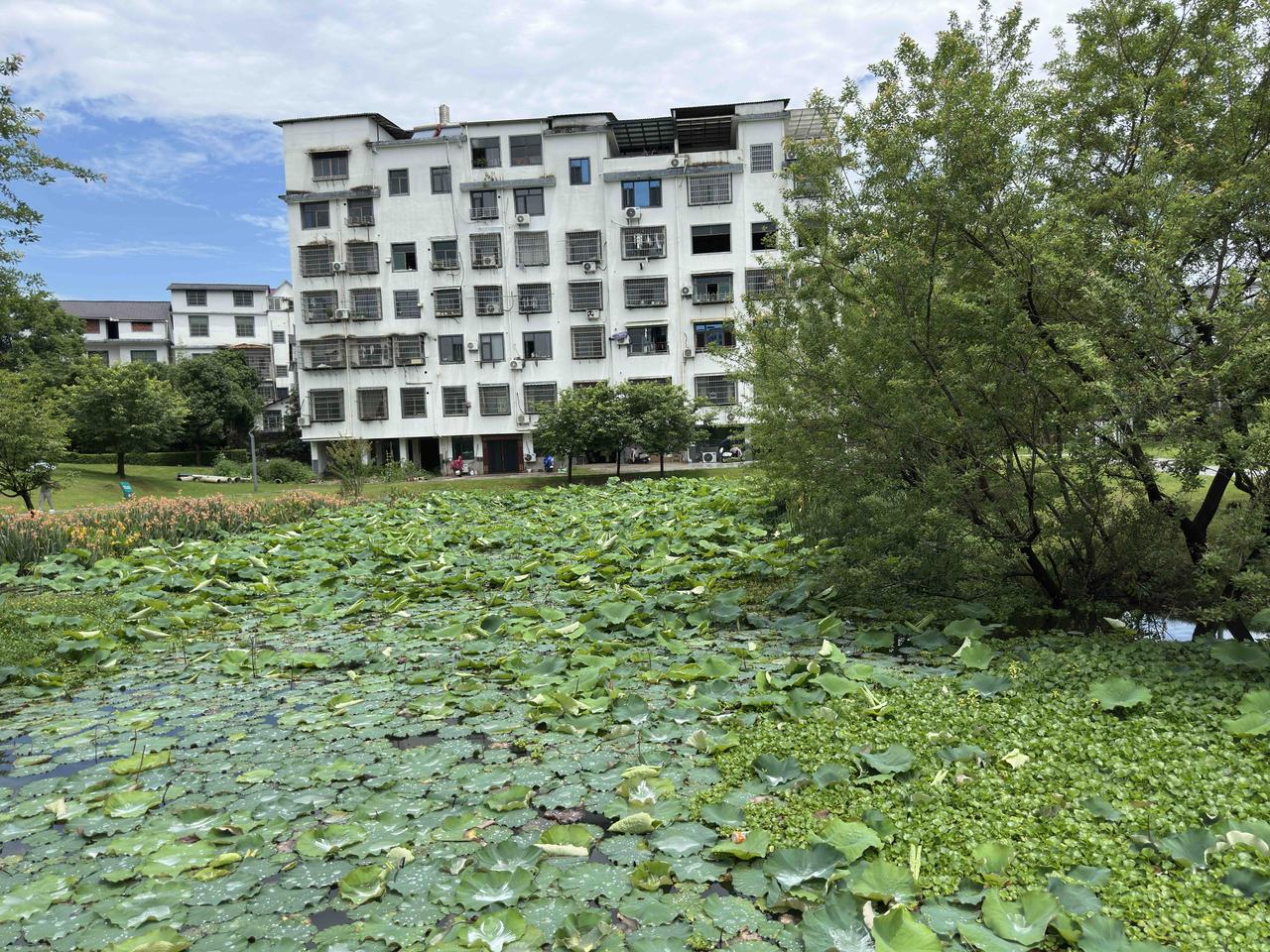 善意的谎言本质上是不是欺骗？
我的答案很明确：是的，它本质上依然是欺骗。为什么呢