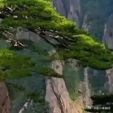 晚安，愿你的梦像一本未完待续的小说，每一个章节都充满惊喜与转折，明天醒来，继续书