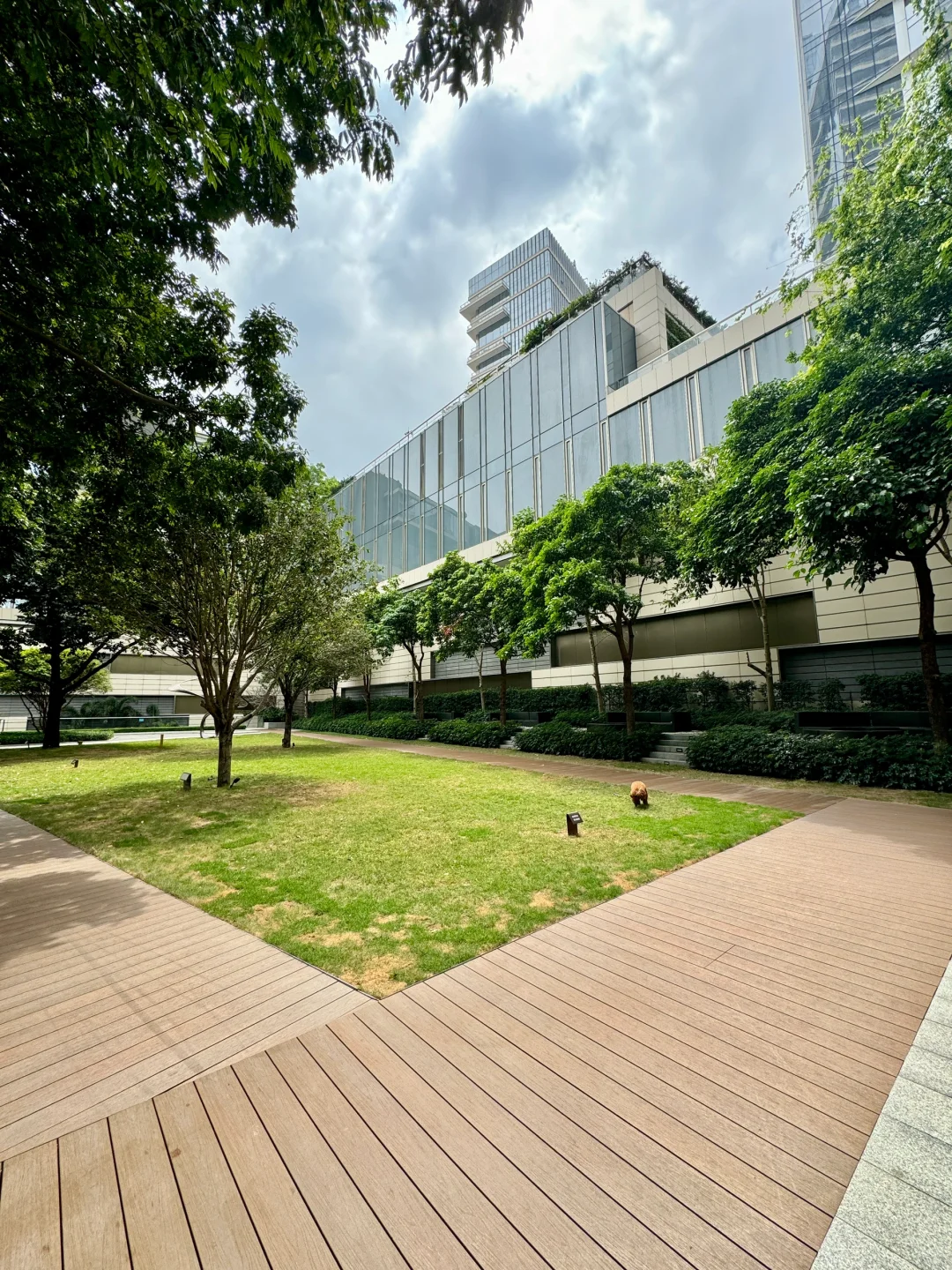 深圳湾一号公寓里还有园林的吗 可以遛狗狗