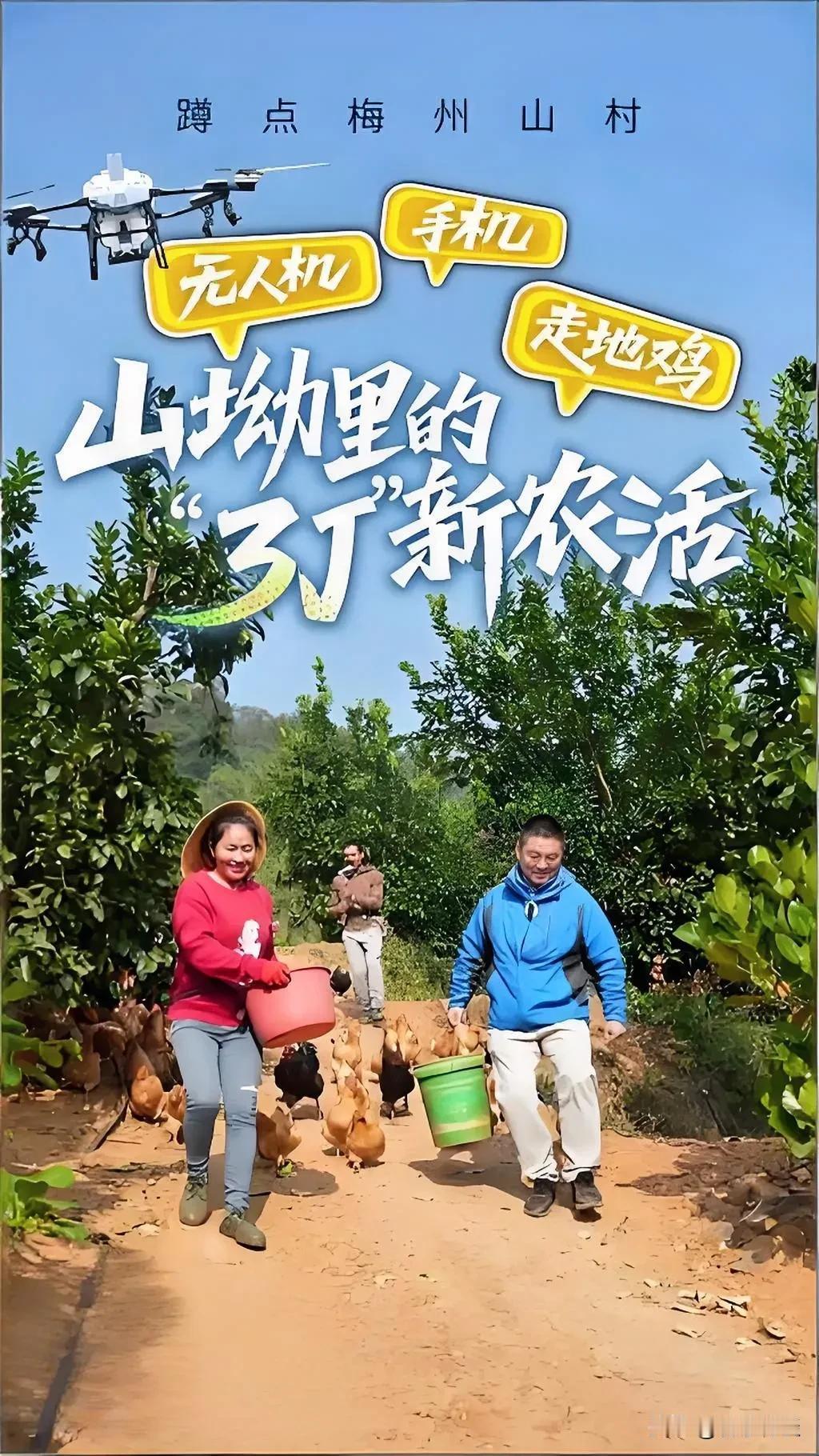 羡慕了!山沟里有“三台印钞机”！天上飞的“无人机”，地上跑的“走地鸡”，手里攥的