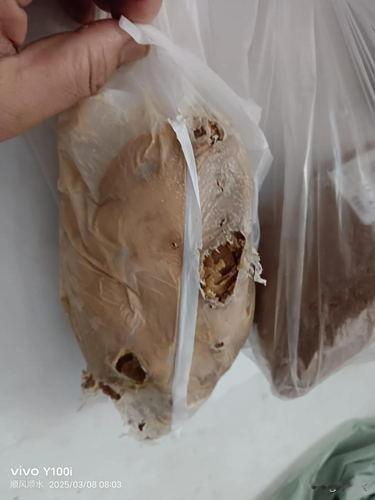 家里的豆腐皮馒头，西红柿都被老鼠啃了。过年买的装在塑料袋的豆腐皮被老鼠啃的塑料袋