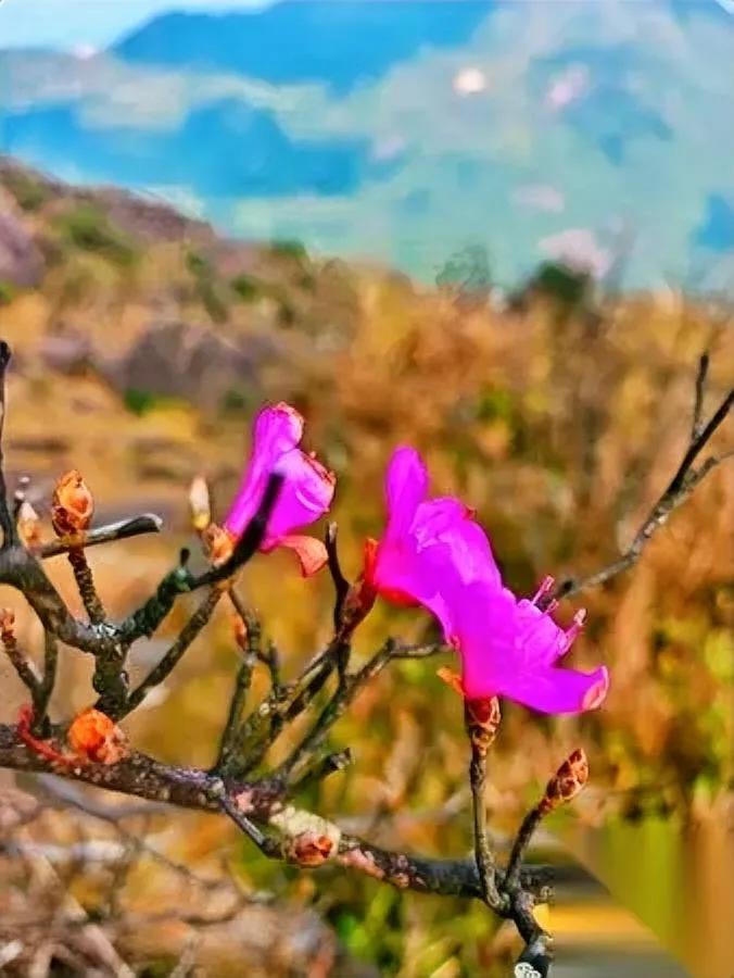 半年没接到外孙电话

没想到曾经最亲的人...

养了十八年的外孙，考上本地大学