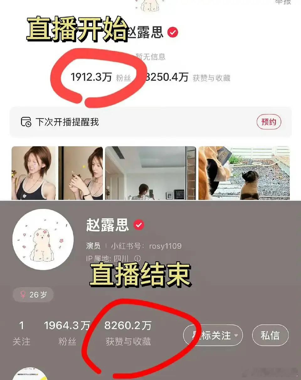 赵露思又涨了52w粉，很多路人打开手机放桌上听她唠嗑赵露思曾被锁酒店驱魔 ​​​