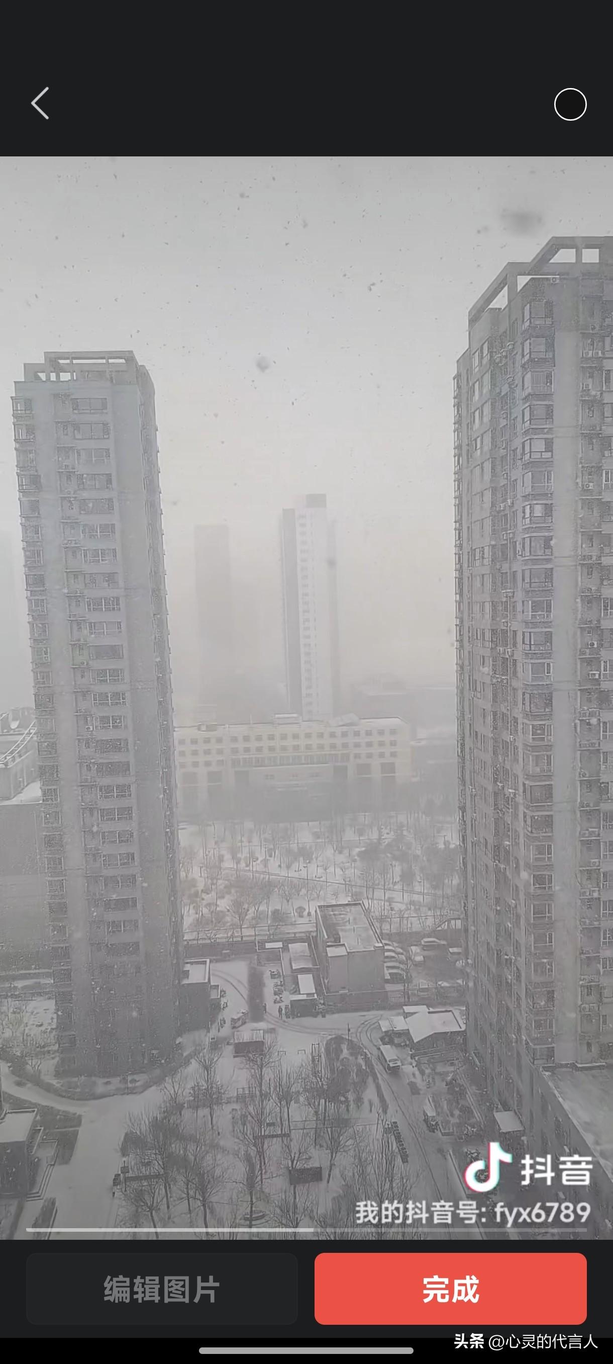 农村人去城市生活是为了挣钱养家，人们称之为“打工人”。城市人去农村生活是为了花钱