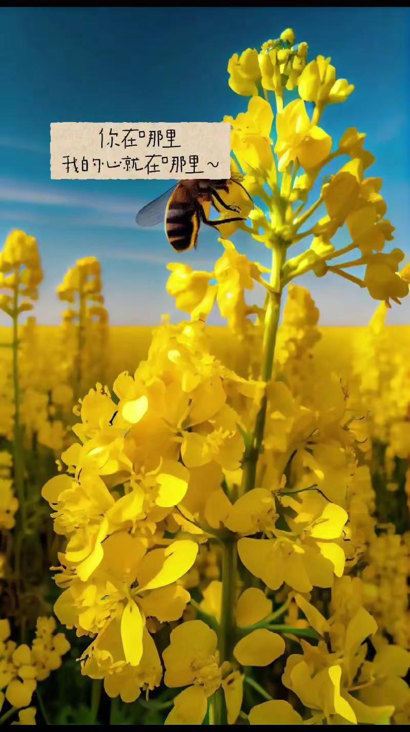 玩法合伙人计划 创意文案玩法集