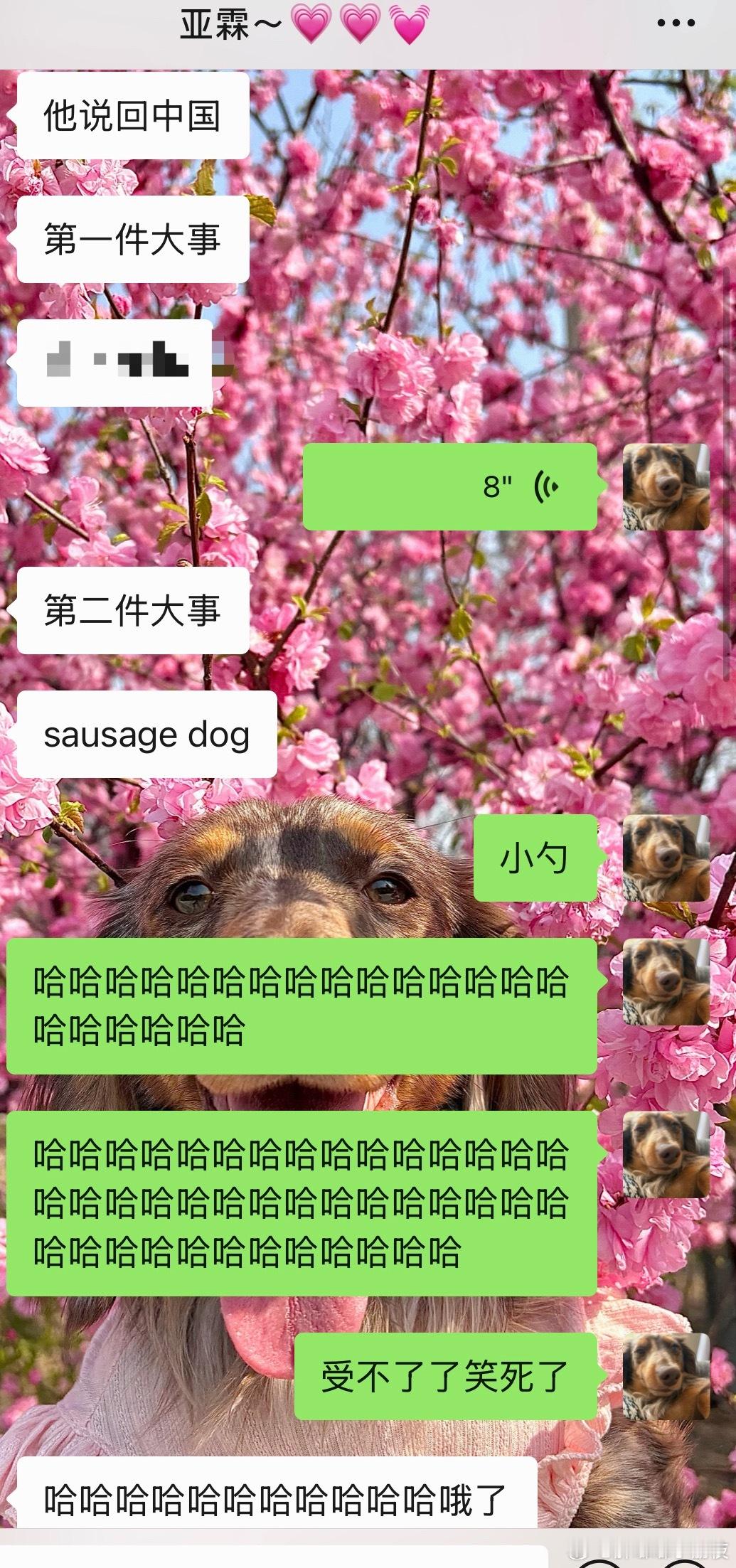 一些写在七月末的碎碎念：八月也太值得期待了🥹先是我妈的闺蜜新养了一只才三个月的