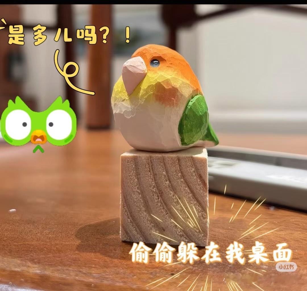 多邻国多儿处处滚多儿滚好家伙，戏精多儿直接本色出演，滚成一只真正的小鸟啦，翠绿的