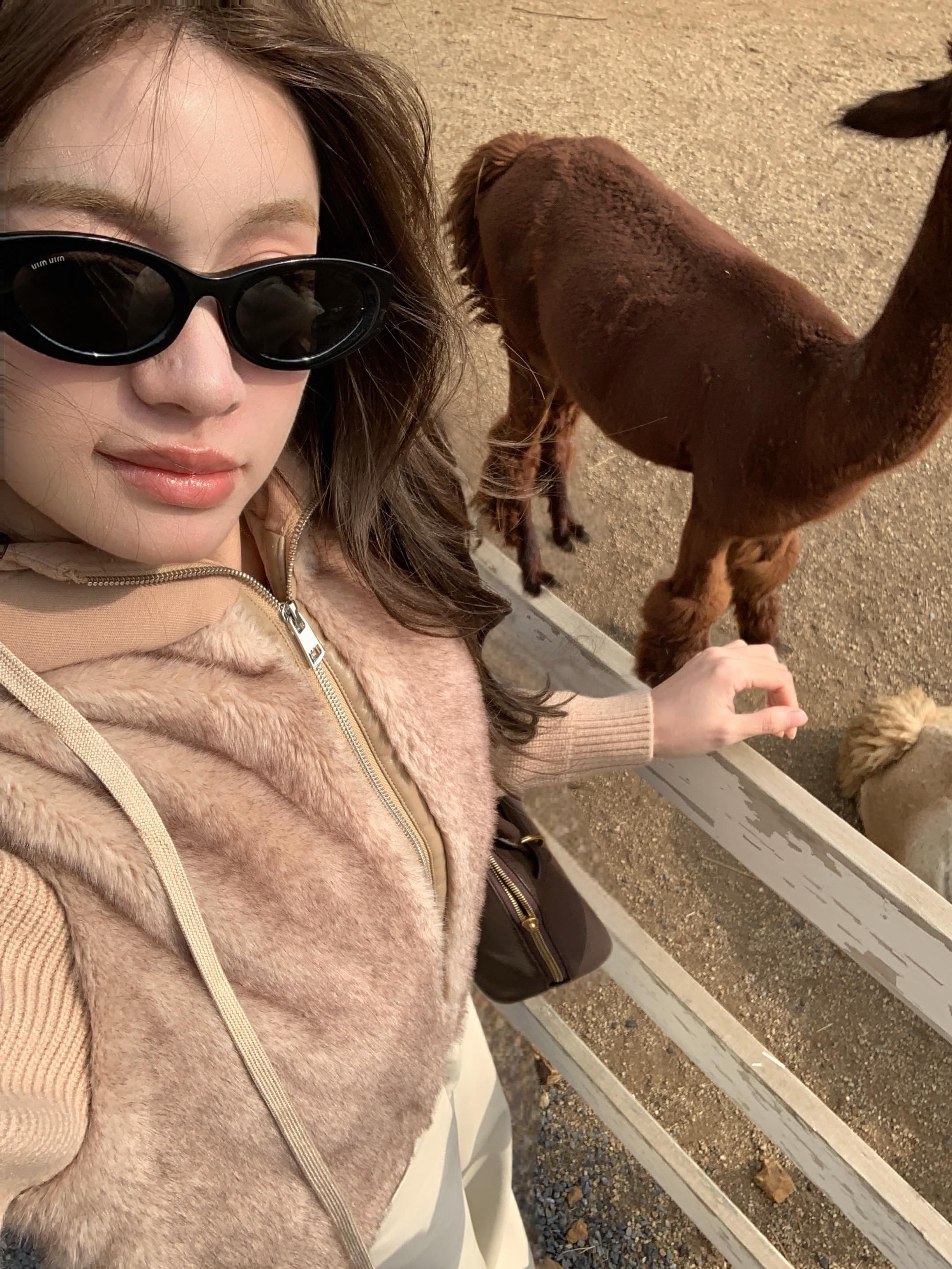 小羊小羊 你也会有烦恼吗🐑 ～