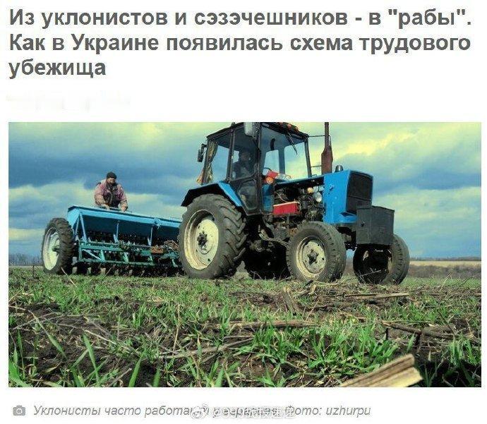 据媒体报道，乌克兰境内出现了逃避兵役者和从部队逃离的士兵建立了非法的“劳改营”。