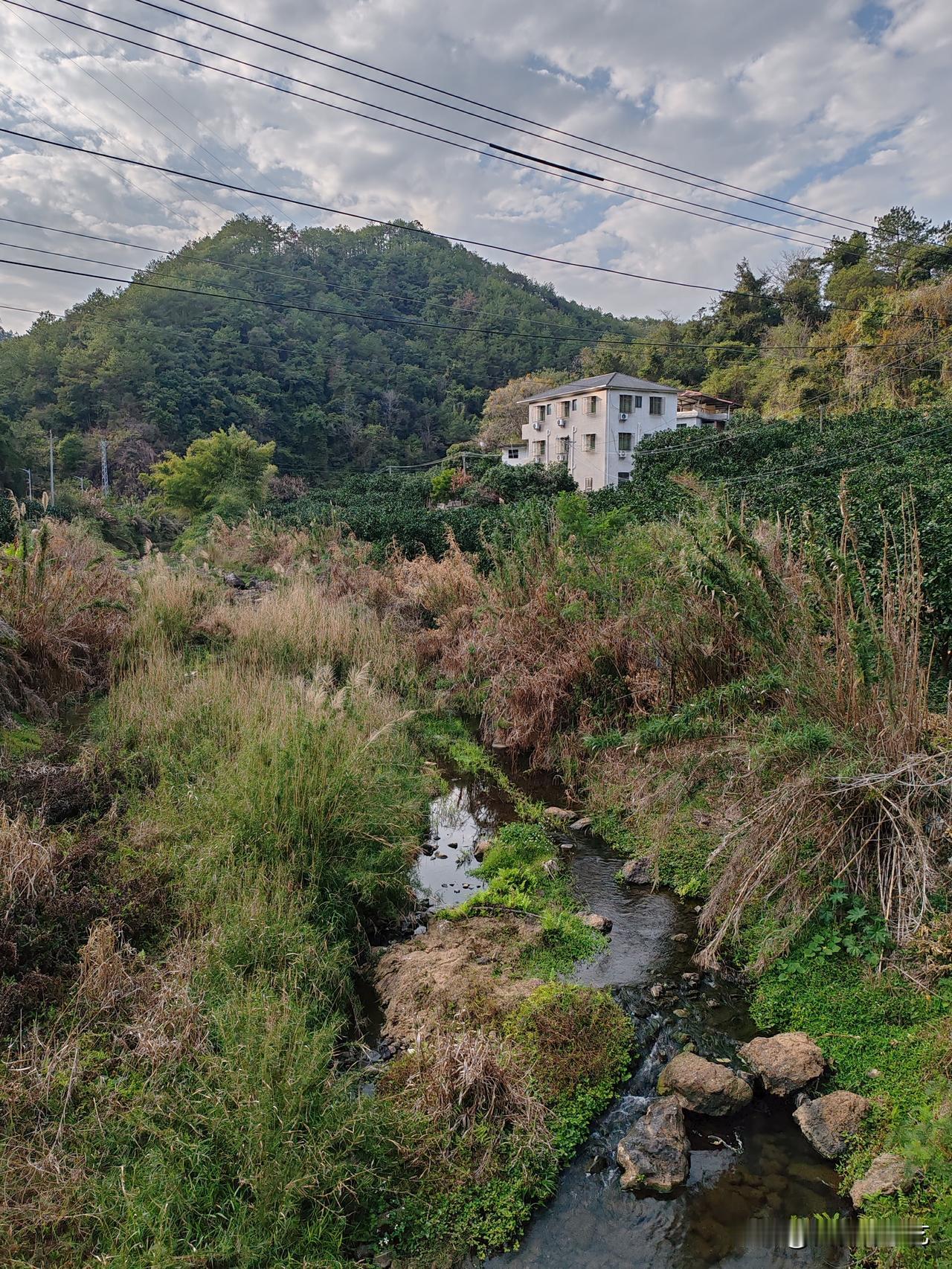今年冬天的不同溪涧绕着枯荣交织的草坡，清流向远处漫开细碎波光。白房藏在翠山与杂树
