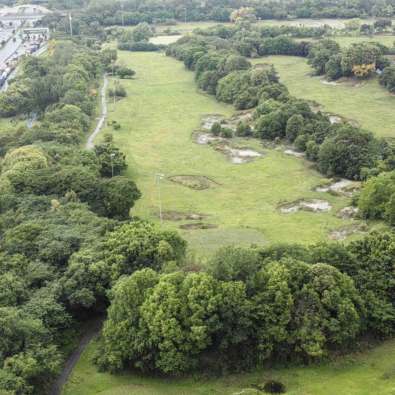 成都今天最高气温19度，走在外面，风吹在脸上还有点冷的感觉。

昨晚下了一夜的雨