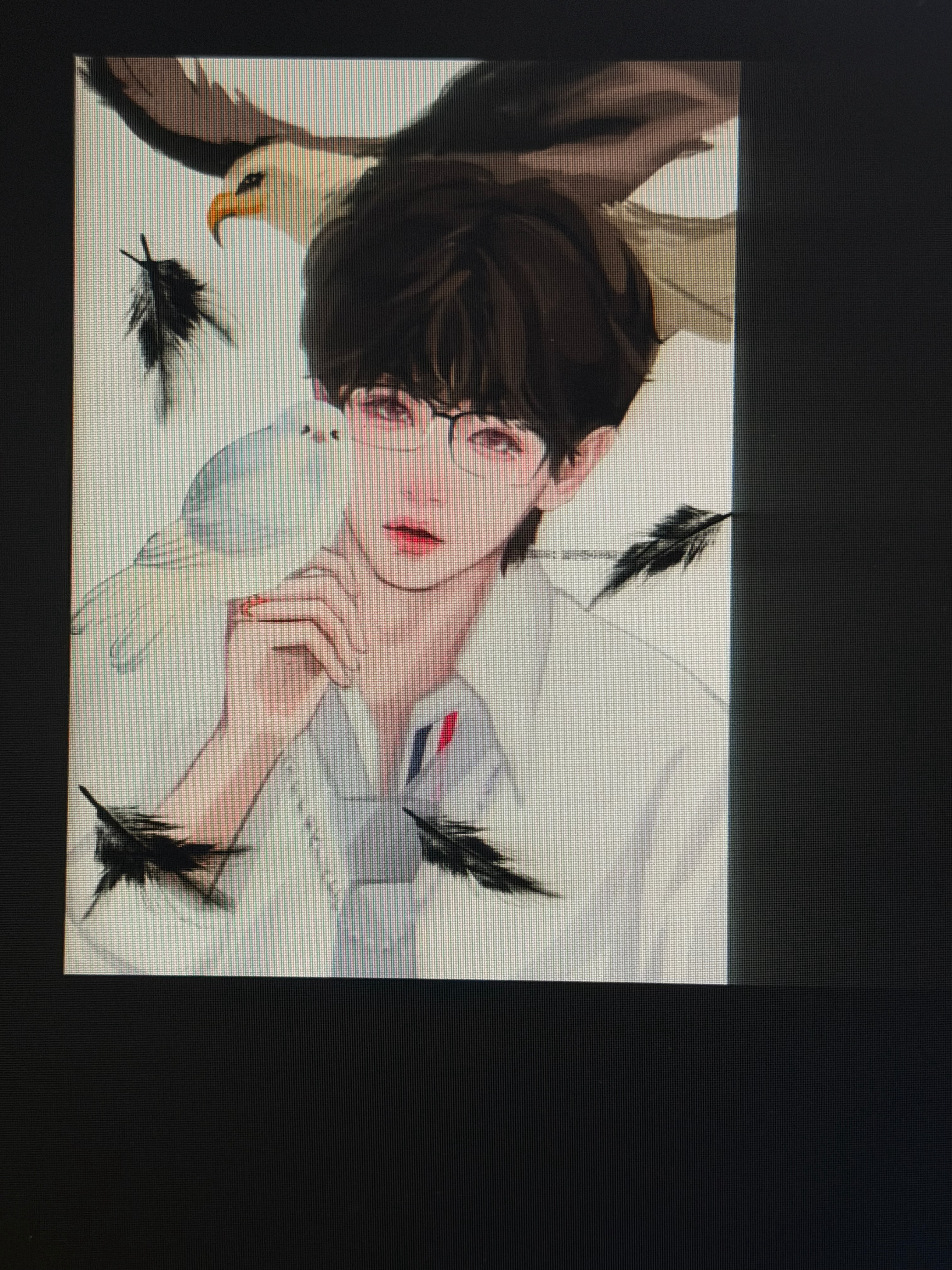 🕊️ 