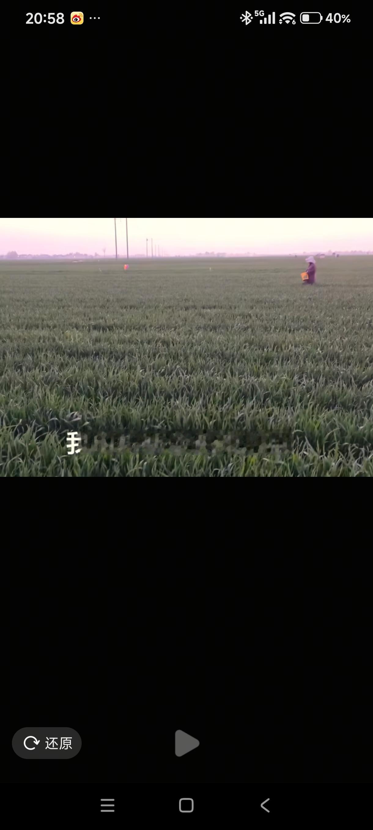 刚才闺女给我发来一小段视频，视频里的每句话都是她的祝福，句句说到我心坎里去了：