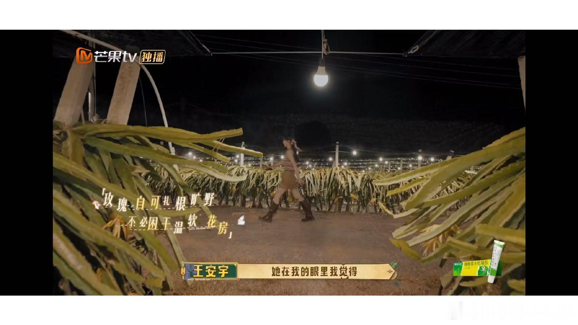 王安宇选择相信田曦薇王安宇对田曦薇说的这段话 为什么这段对话能引起这么大共鸣？因