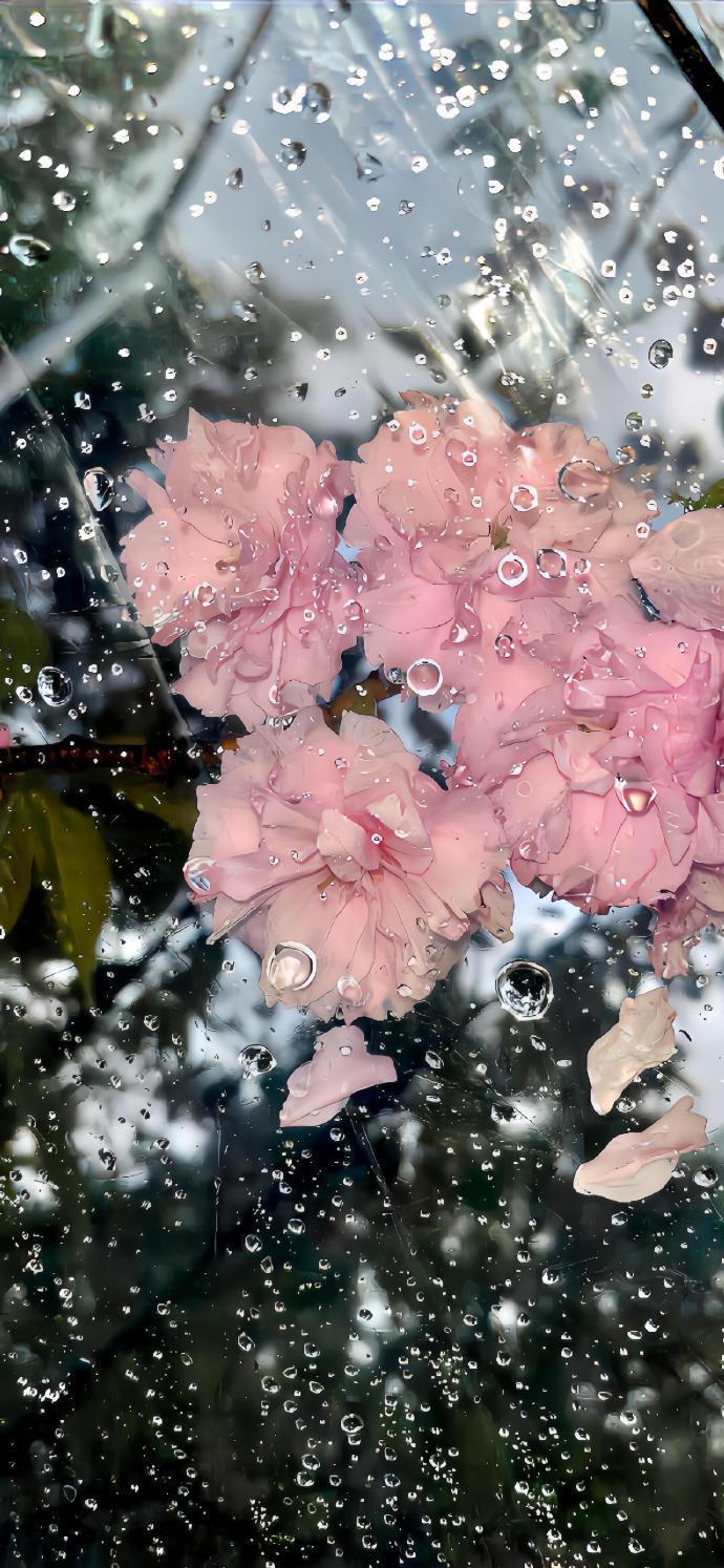 风里已经裹着温柔的暖意了，走在路上都能感觉到气温一点点回升，整个人都跟着轻松起来