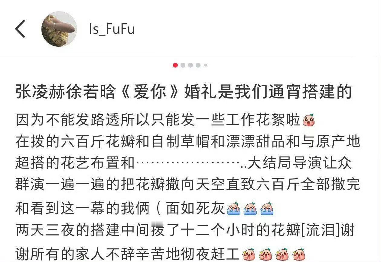 爱你婚礼用了600斤手拨花瓣到底是谁还没有看这个爱你，剧情不仅超级好看，景色也超