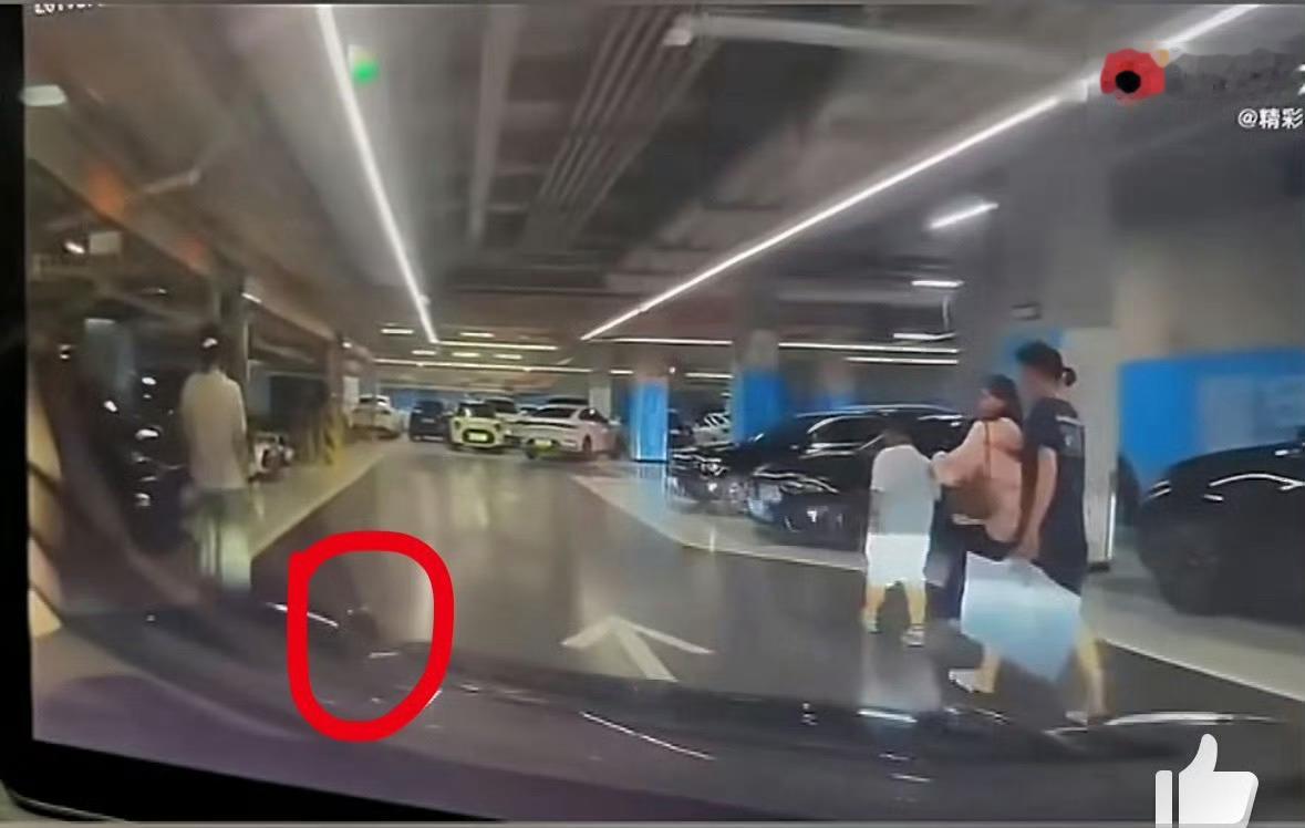 高迪大美的狗在车库被车碾死这不就是人牵狗，把地库的路封上了吗？把孩子往路边拽的同
