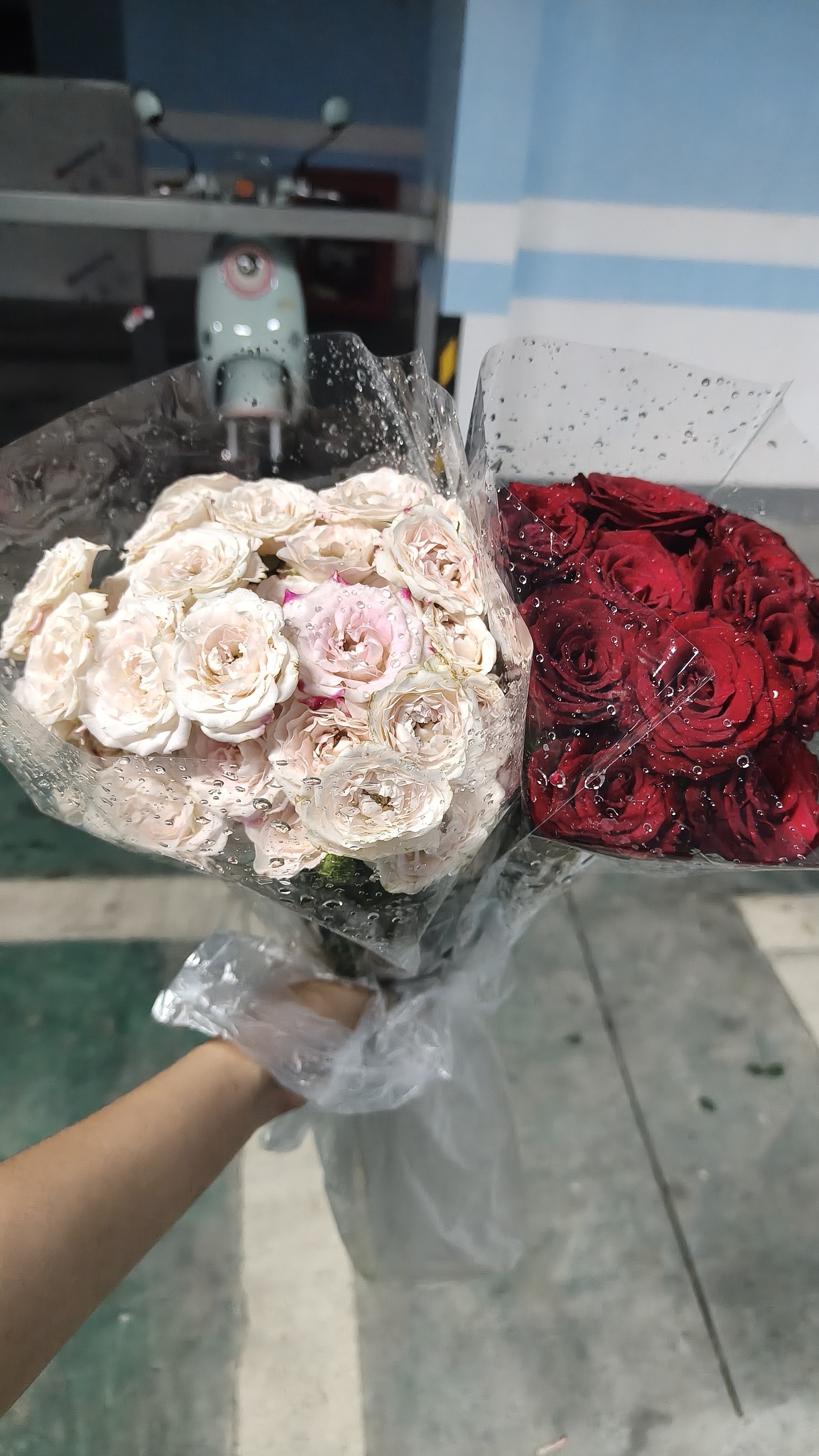 4.95元的花花性价比好高的两束鲜切花好喜欢漂亮的花花🌸让人心情愉悦对象开始每