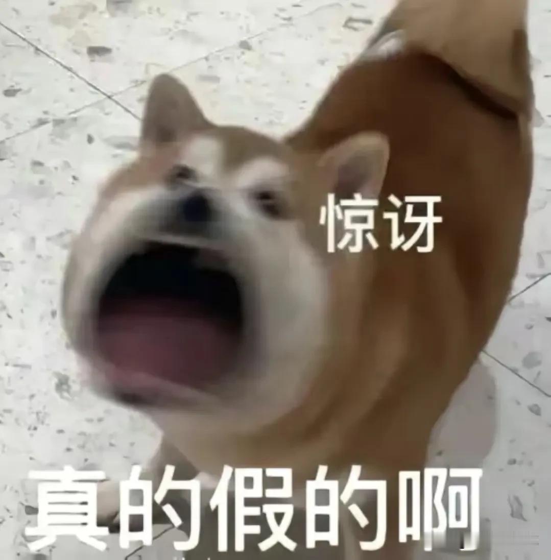 中远海控技术分析！

中远海控今日一根长阳彻底扭转了连续六天的颓势，此前六连阴K