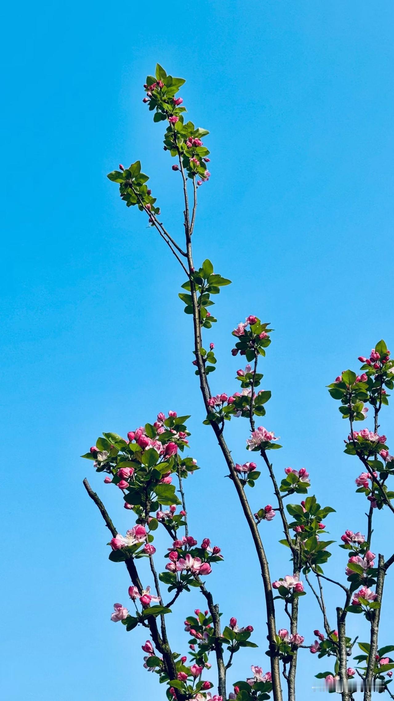 原来真正幸福的晚年，不是儿女成群，而是…

人一生，大半辈子都在为子女操劳
年轻