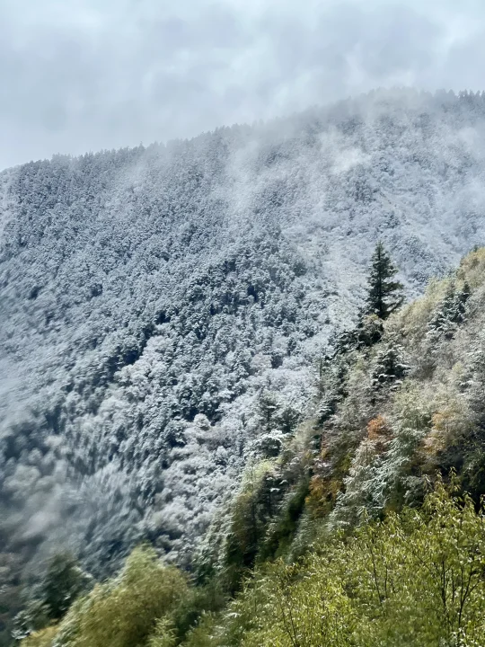 好消息10.24日晚上四姑娘山下雪了