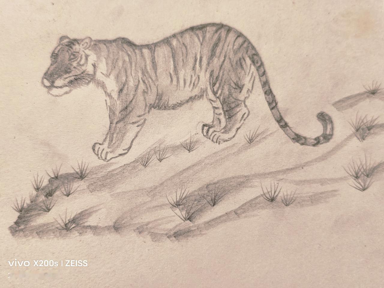 幽默趣事
         为给自己增加绘画难度，我昨天在家第一次用铅笔画了一只