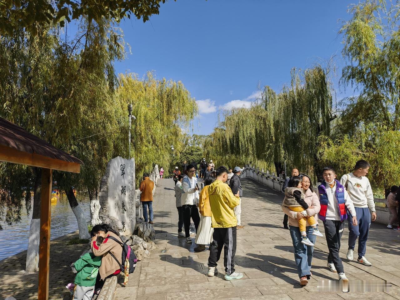 昆明市中心的翠湖公园，一年四季风景优美，都是免费开放的。公园面积挺大，其中阮堤是