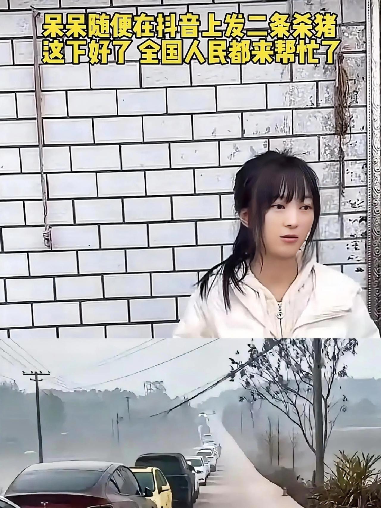 呆呆懵了，
网友们也懵了，
就连合川文旅都懵了，他们没想到，“宰猪”这辛苦活，也