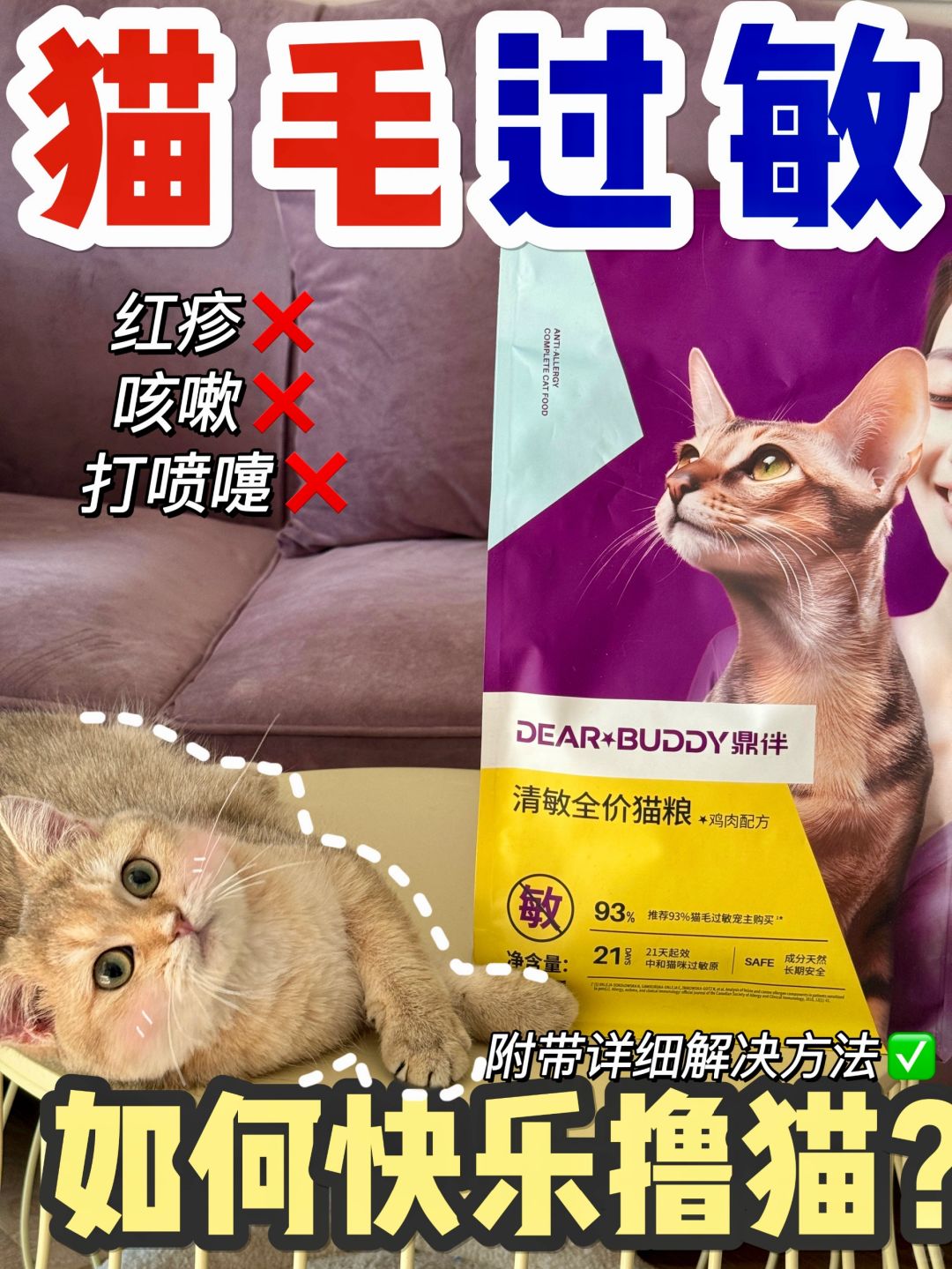 猫毛过敏？到底如何拯救过敏🌟人？