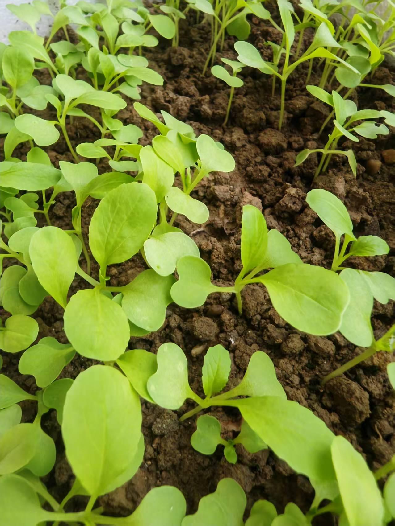 把头抬起来，多大点事啊！多大点坎啊！人生没有过不去的坎，只有过不完的坎，不就翻个