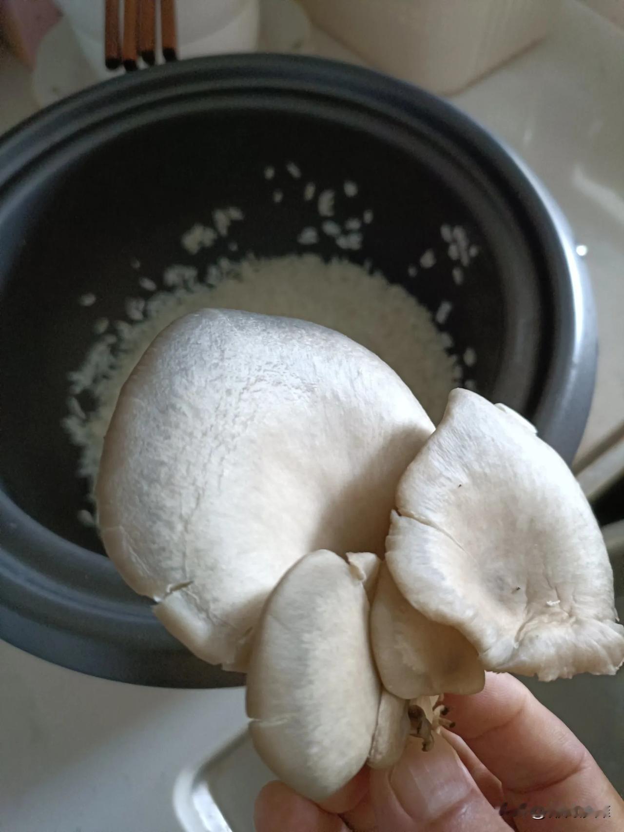 今天去菜场买了六元的蛤蜊，七元一斤，剩下四枚一元硬币，放在口袋里显得碍事，不如把