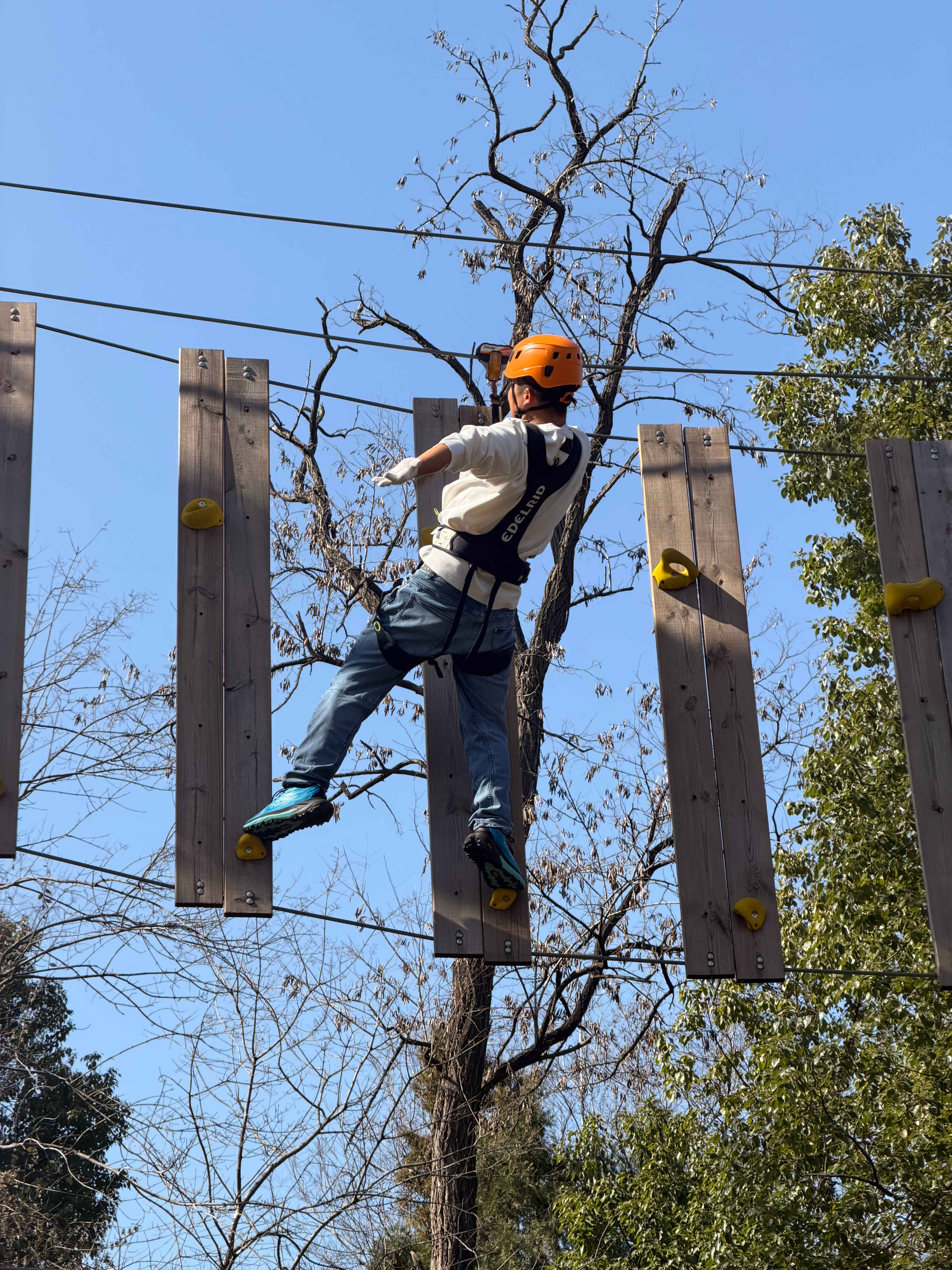 年后运动起来、滑索、徒步 … 把过年吃的燃烧掉